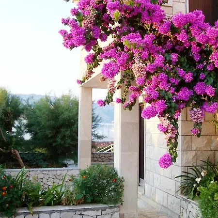 Apartment In Povlja With Sea View, Terrace, W-lan 4991-2